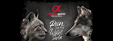 AlphaSpirit: Nutrição Inovadora e Natural para o Seu Pet