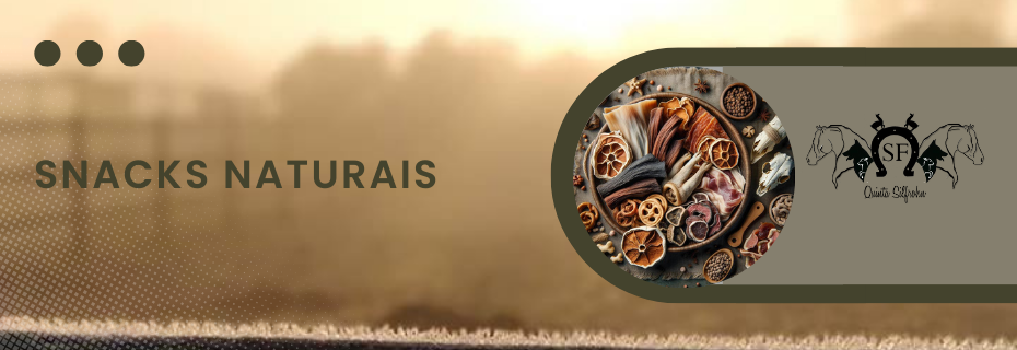 Snacks Naturais