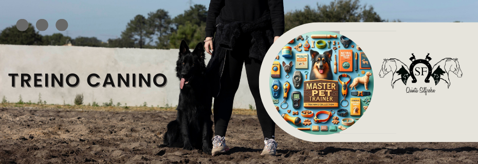 Treino Canino