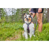 LINE HARNESS 5.0 UNISEXO