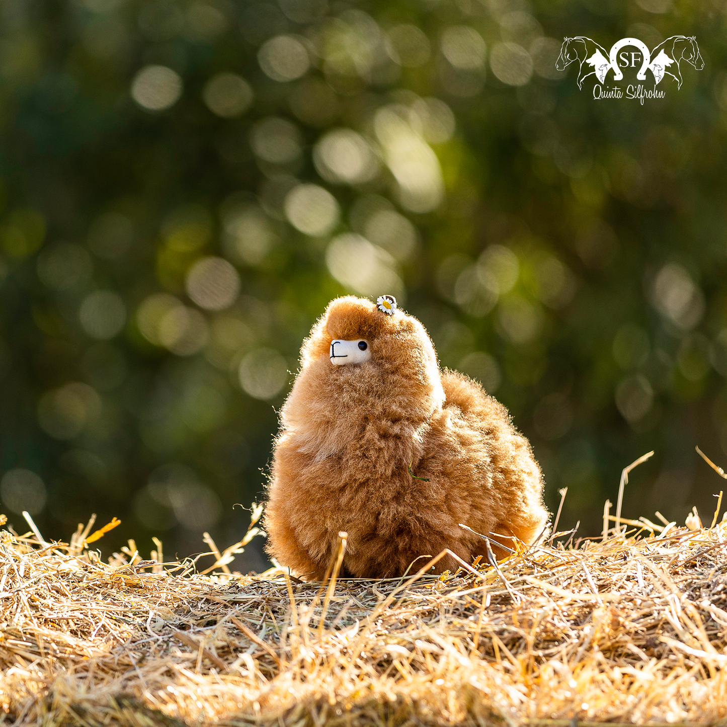 Alpaca Miniatura - Avelã