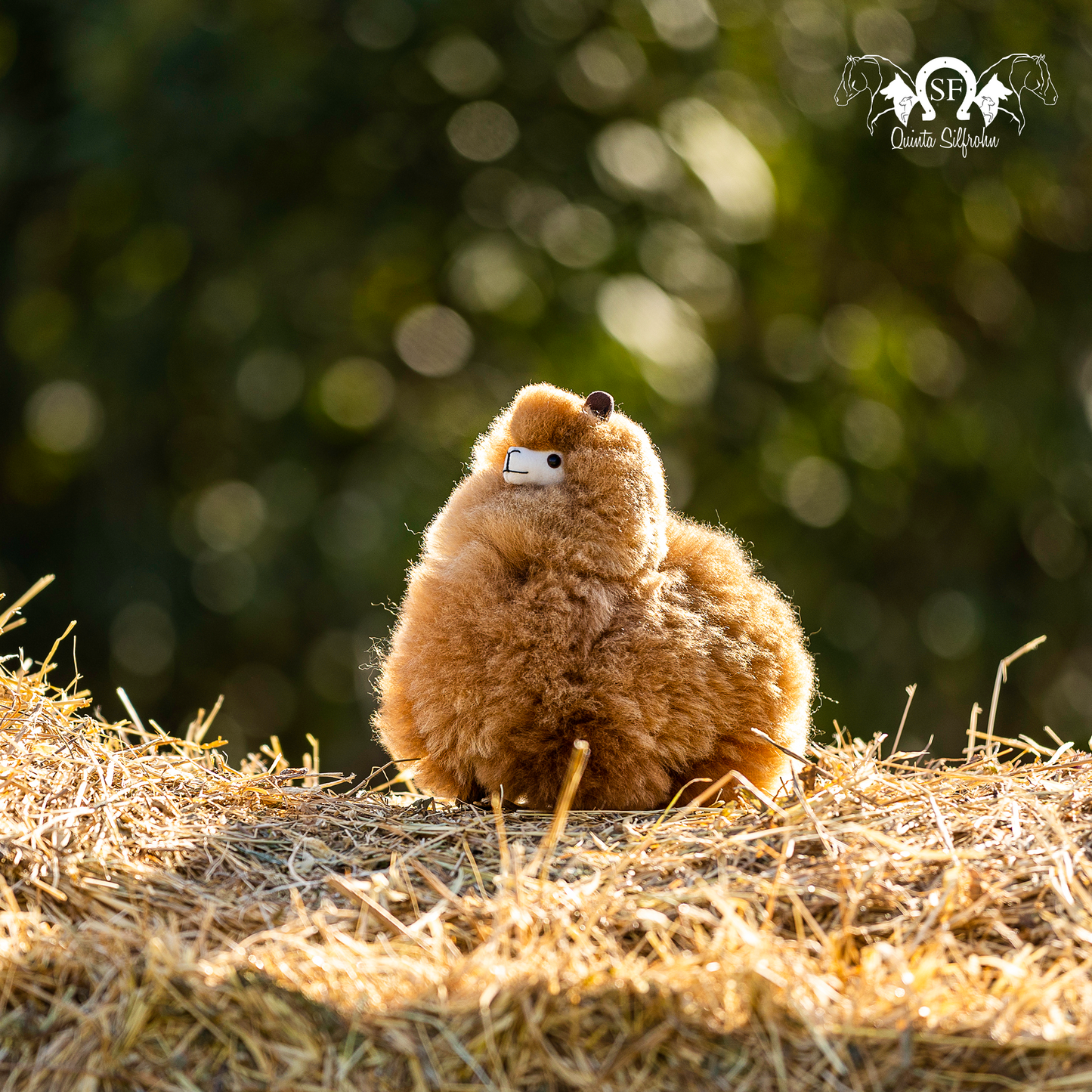 Alpaca Miniatura - Avelã