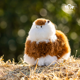 Alpaca Miniatura - Machiato