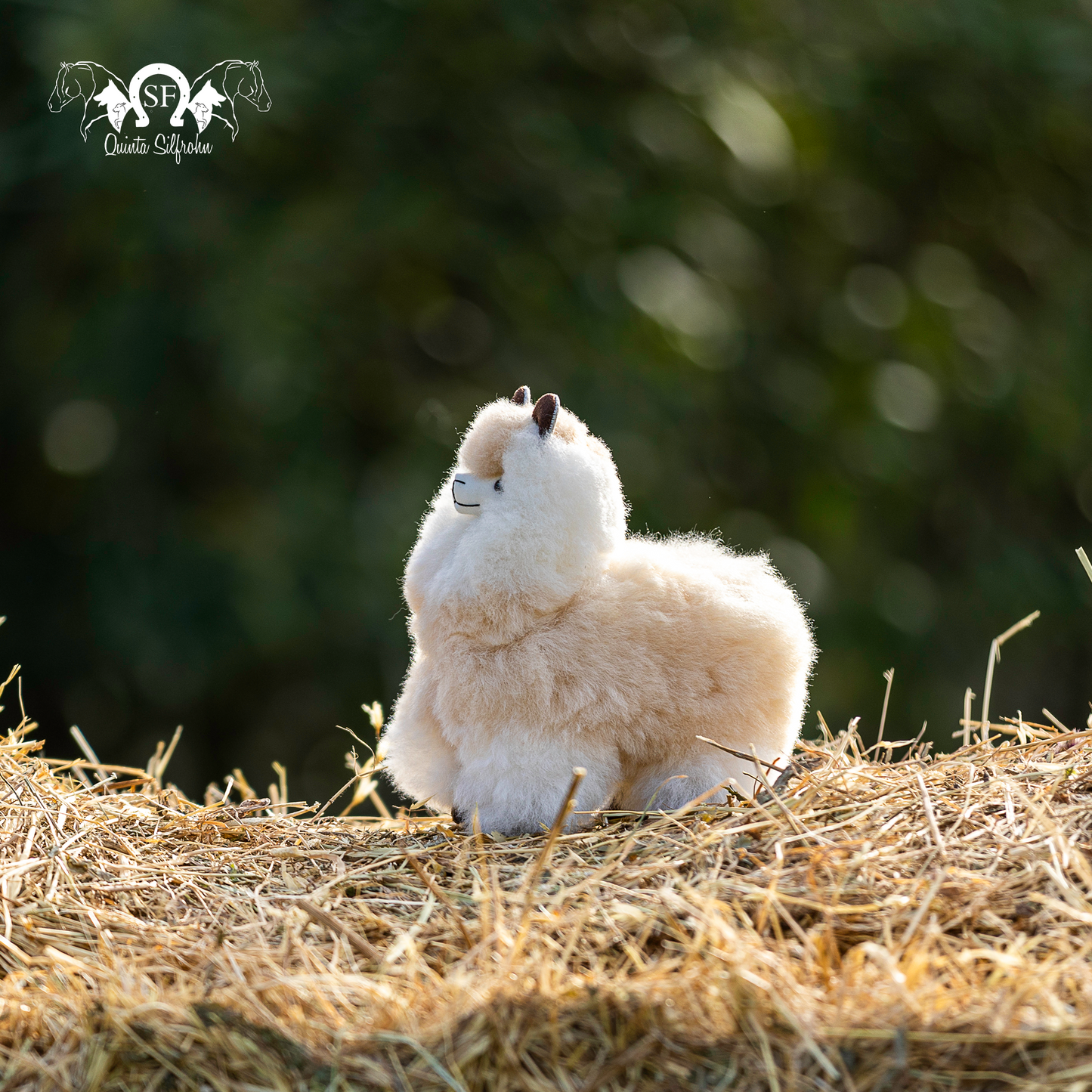 Alpaca Miniatura - Vanilla