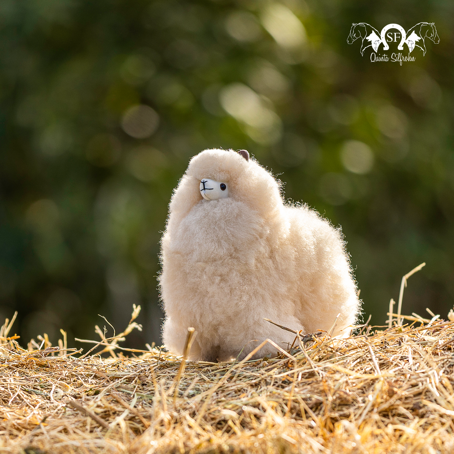 Alpaca Miniatura - Blond
