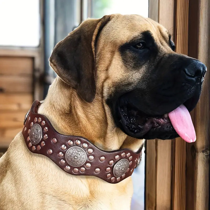 Coleira para Cães de Couro Castanha com Flores em Metal (M)