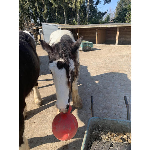 Bola Cavalos, Ø 25 cm, Vermelho