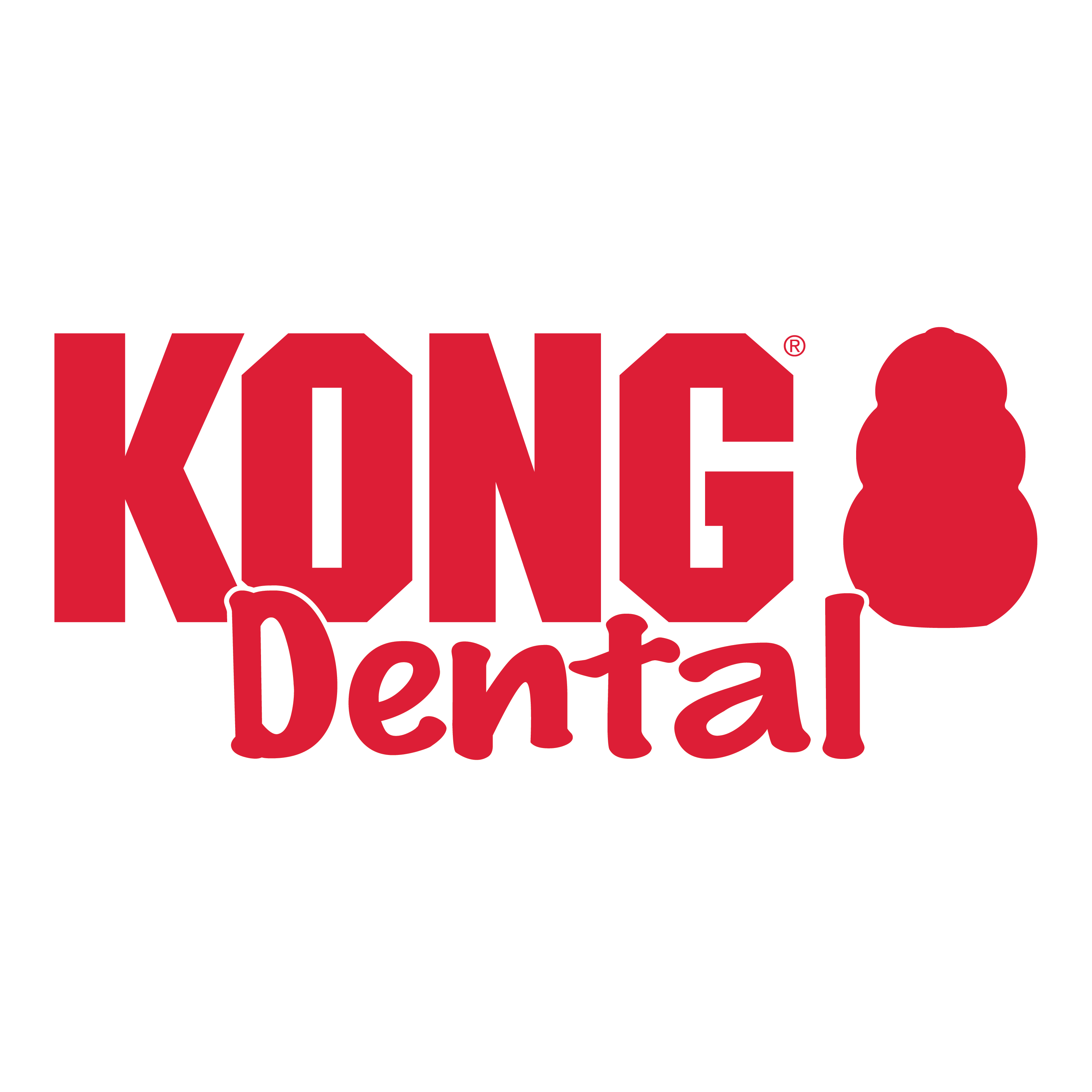 KONG DENTAL W/ ROPE (com corda)