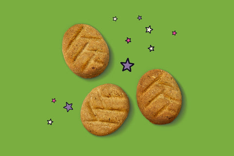 LILY`S KITCHEN Bedtime Biscuit