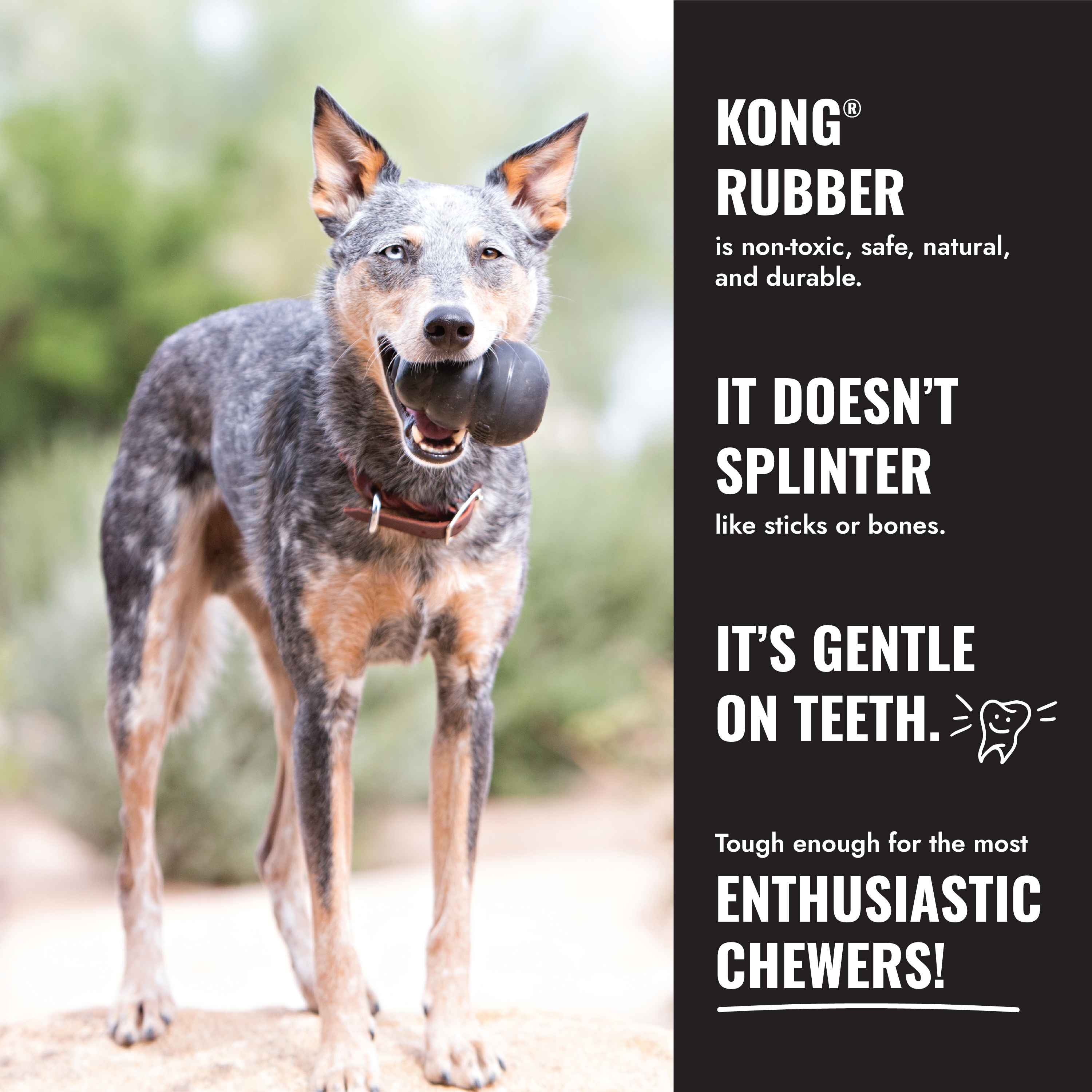 KONG Ball with Rope Extreme L