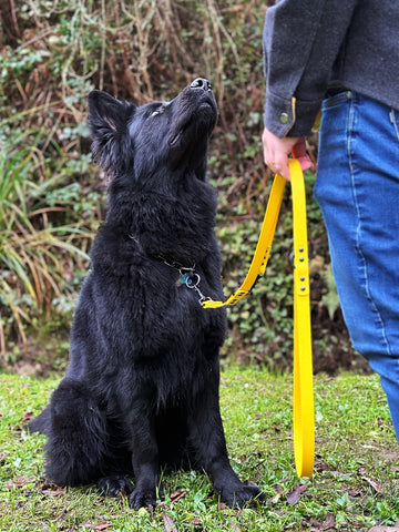 Trela Workdog Gear - Amarelo