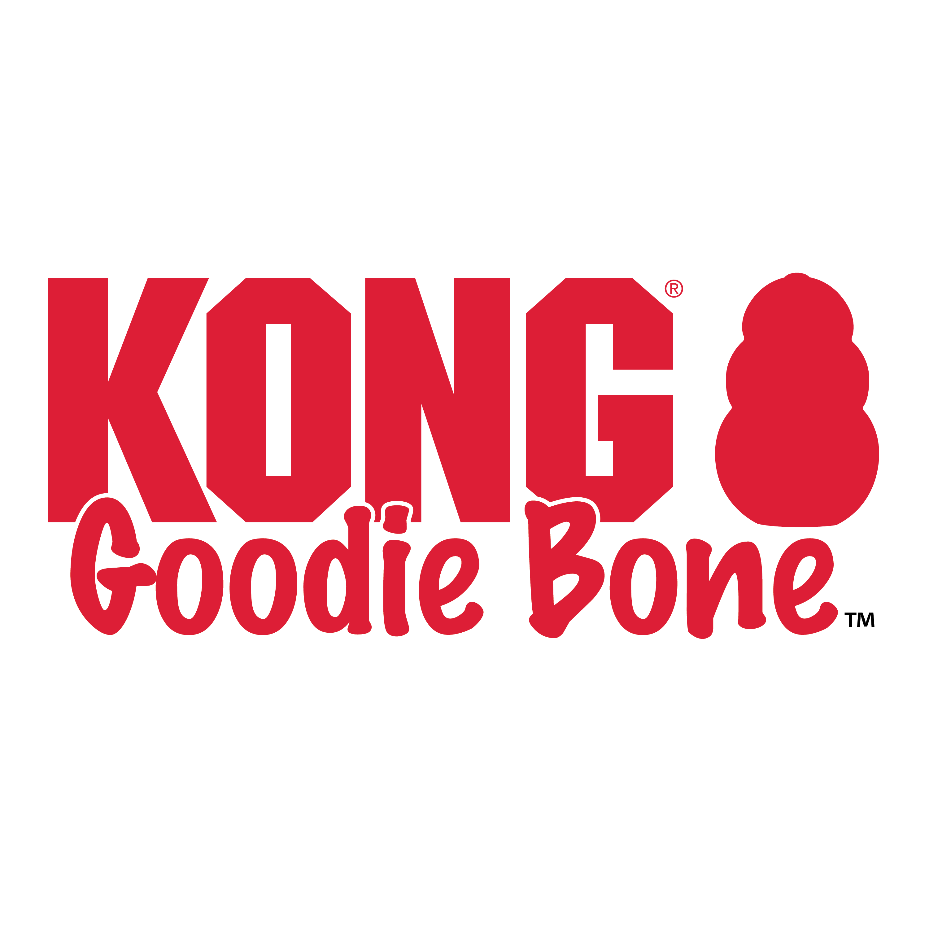 KONG GOODIE RIBBON MEDIUM (Forma de Osso)