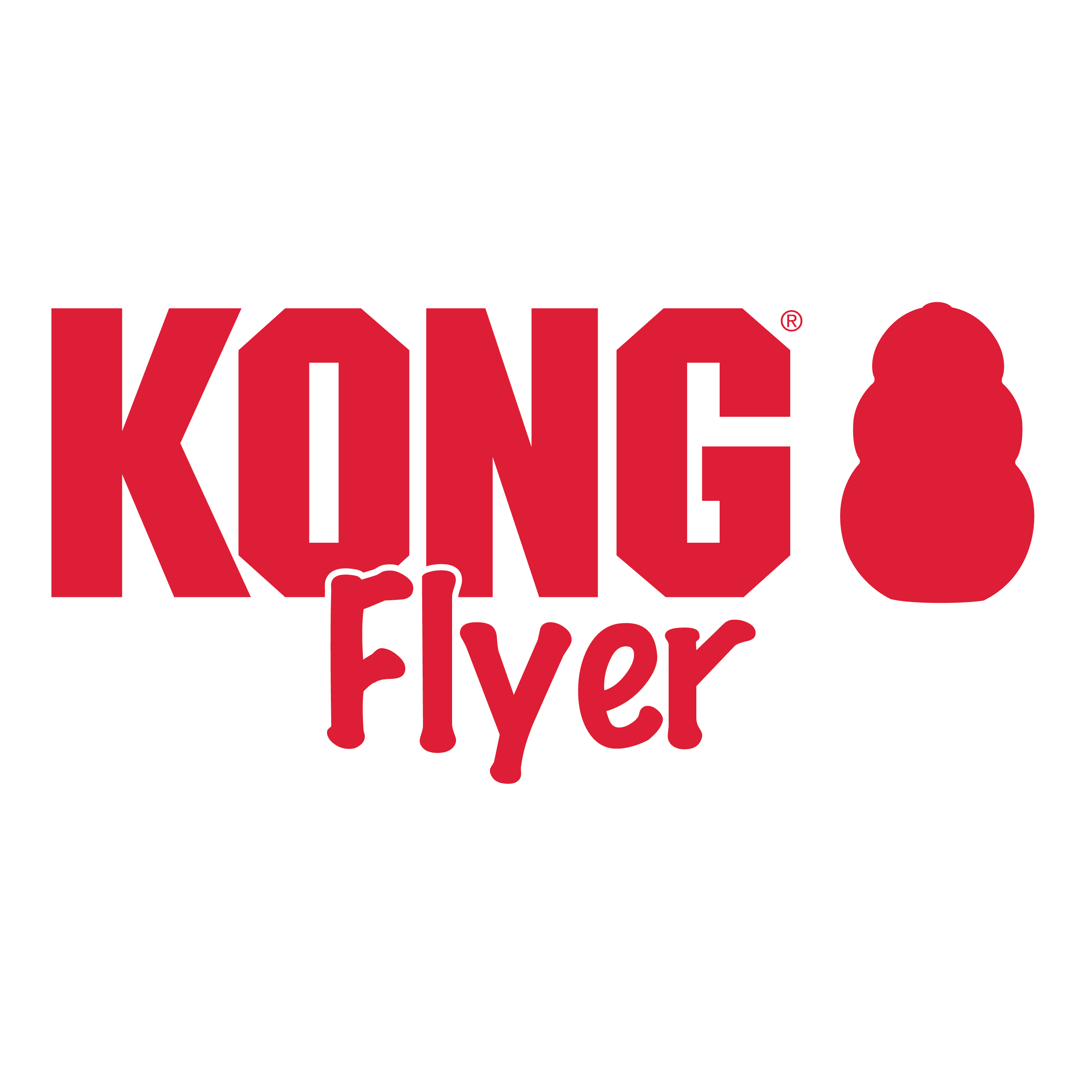 KONG FLYER LARGE (Disco Voador)