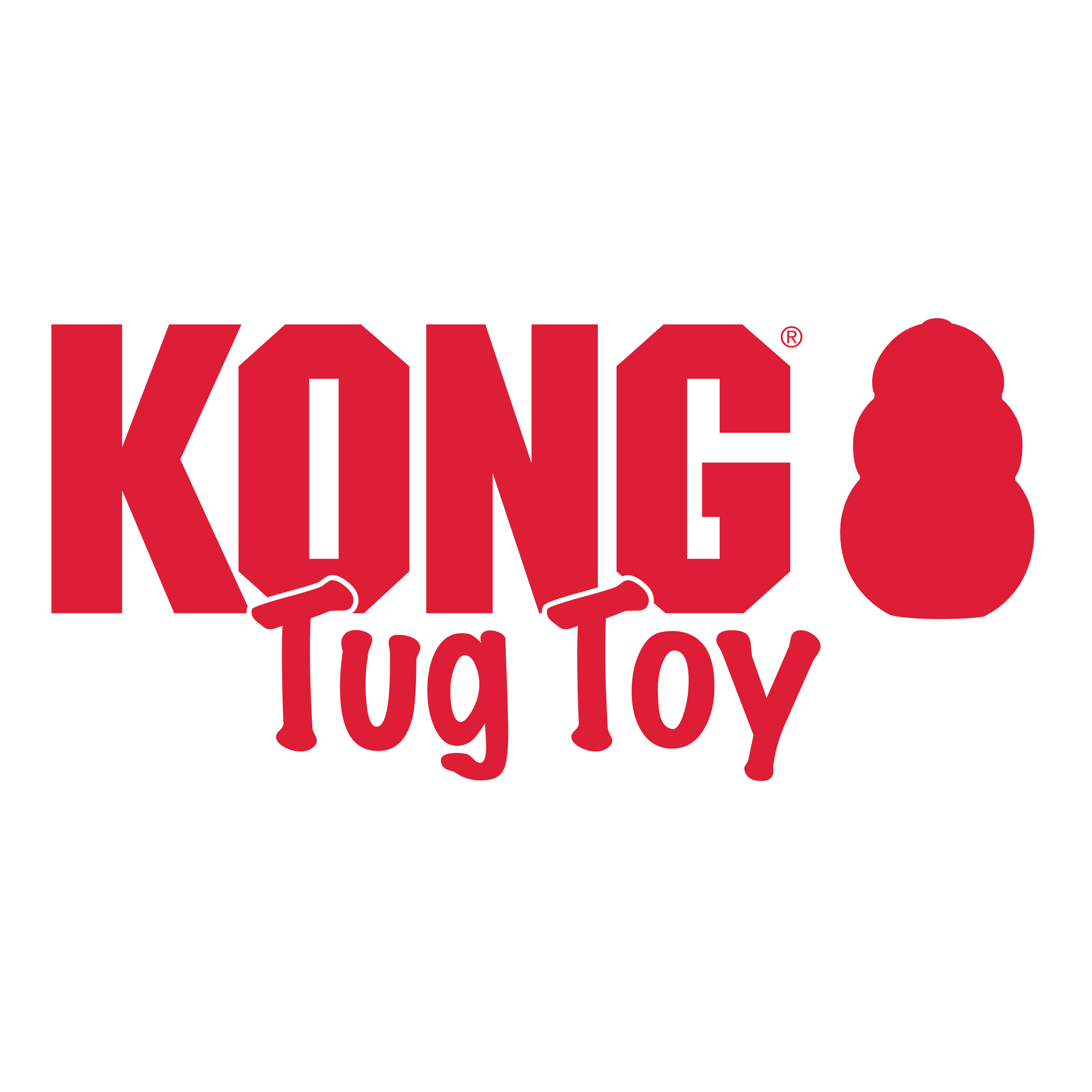 KONG TUG TOY MEDIUM