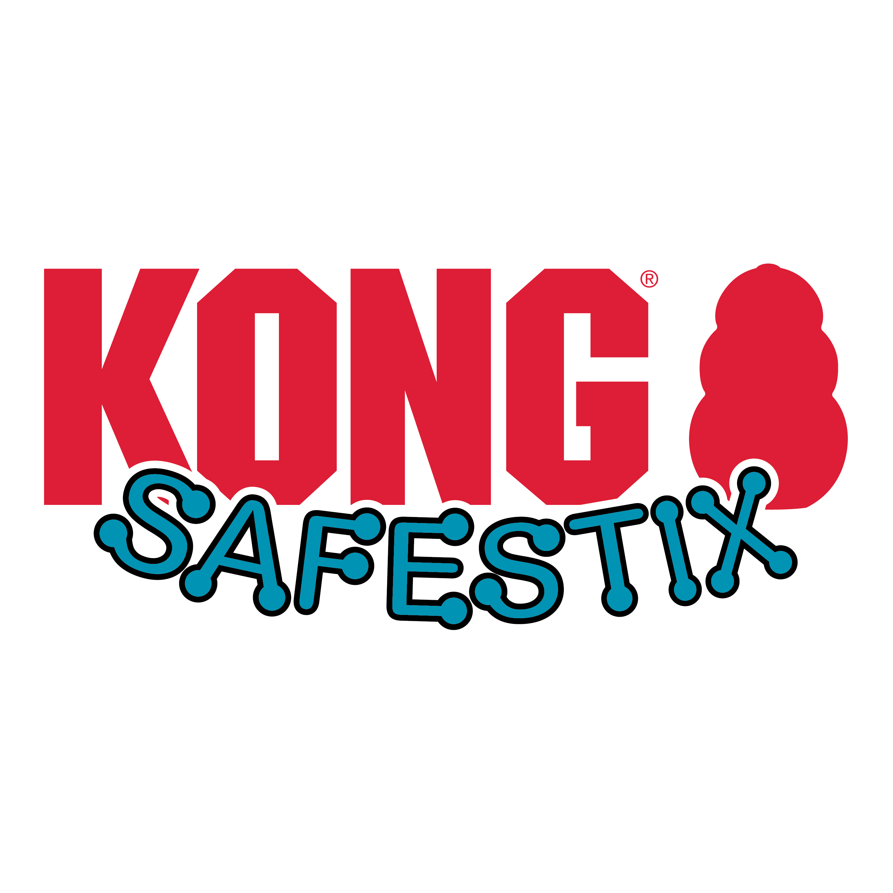 KONG Safestix