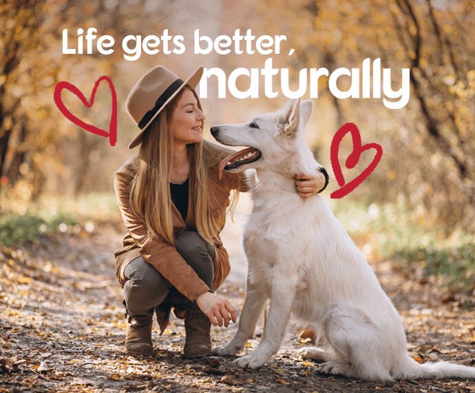 Pet Corrector