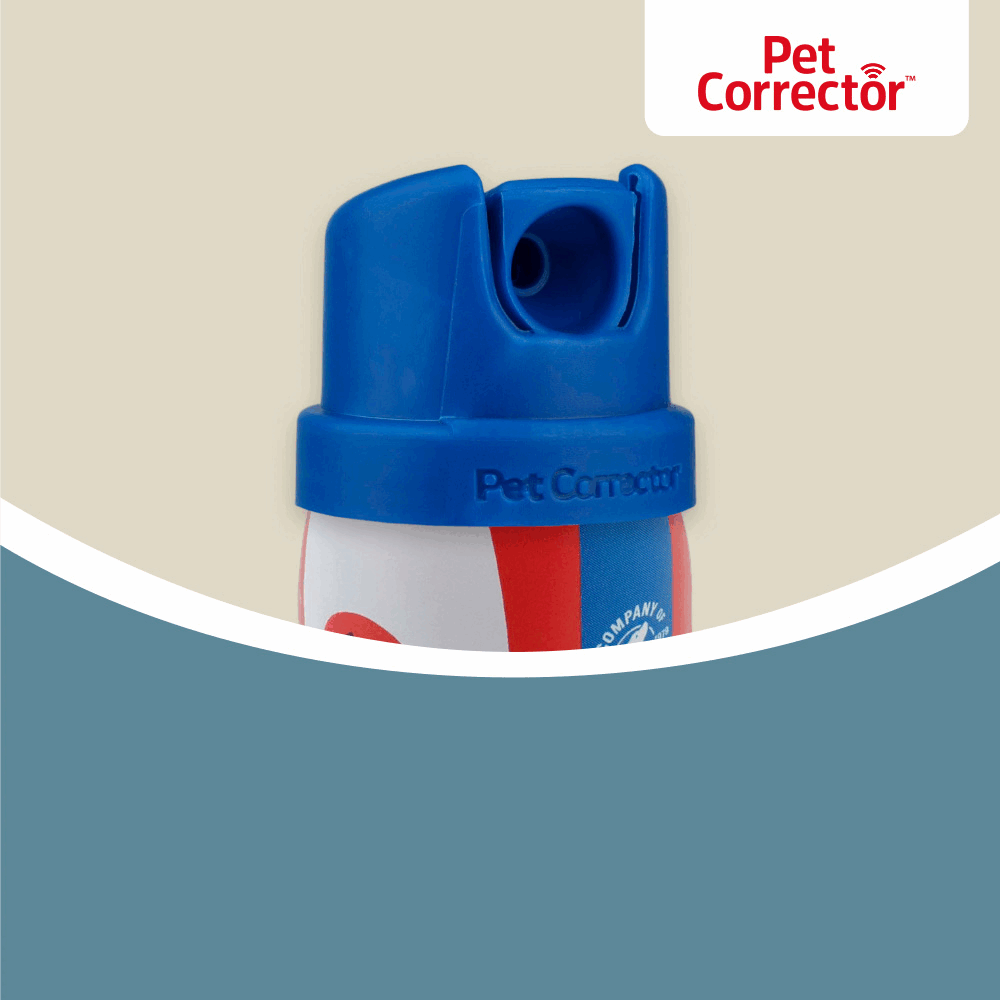 Pet Corrector