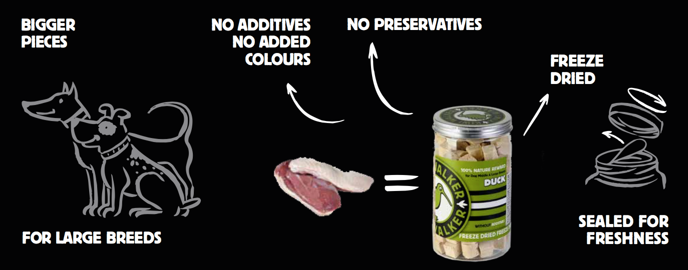 KIWI WALKER Freeze Dried Snacks - Round Jar L (115 a 120 gr)