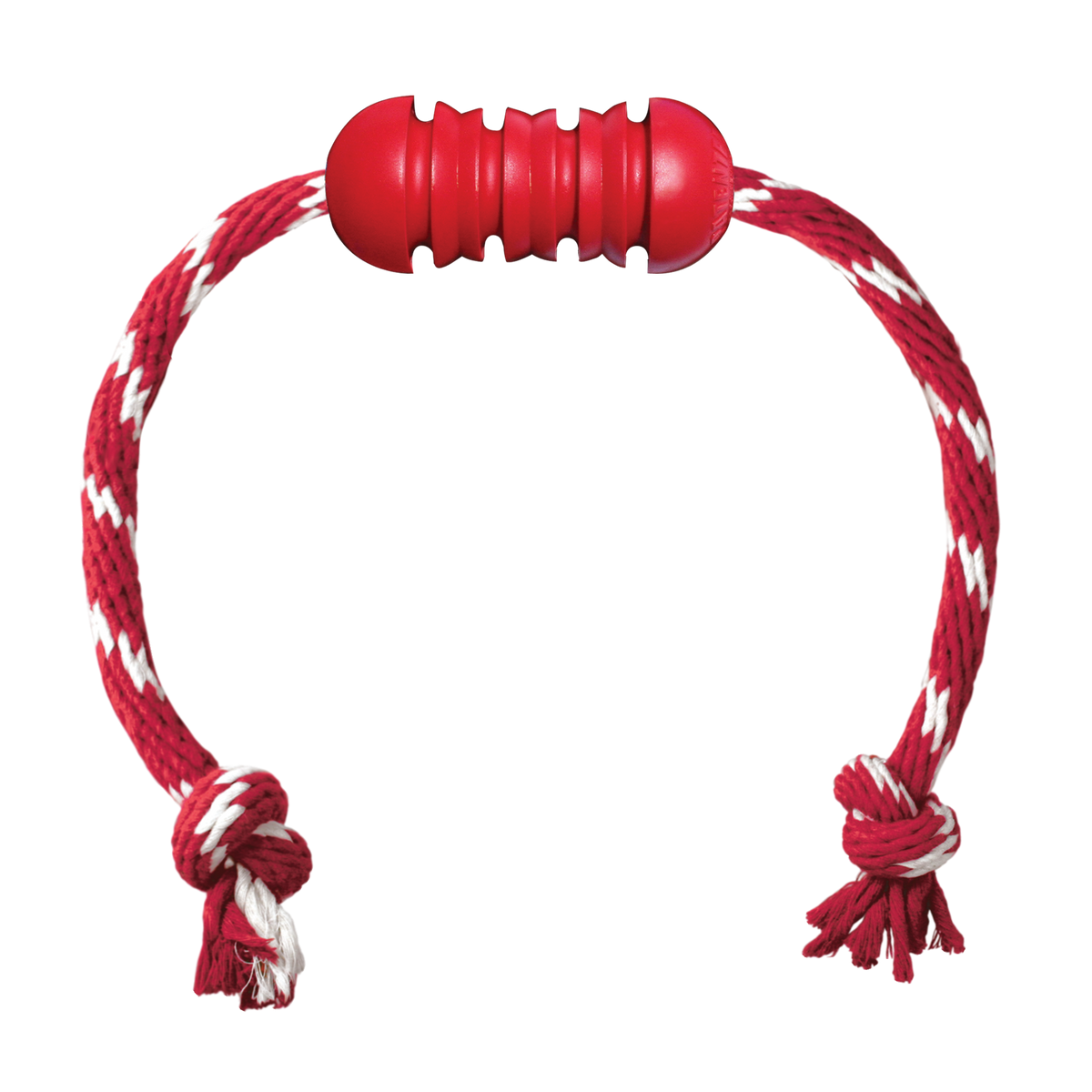 KONG DENTAL W/ ROPE (com corda)