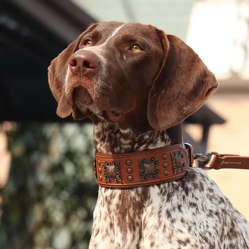 Coleira para Cães de Couro com Enfeites Quadrados (Preta - L)