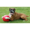 BOOMER BALL - Sortido