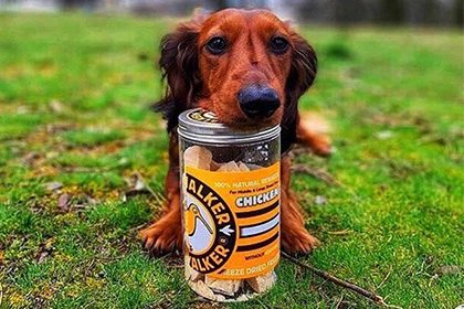 KIWI WALKER Freeze Dried Snacks - Round Jar L (115 a 120 gr)