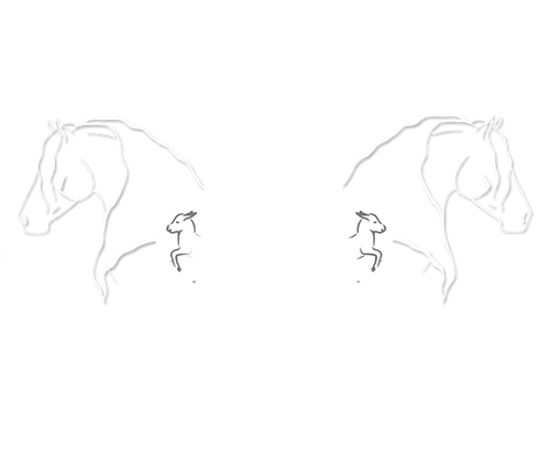 Quinta Silfrohn logo