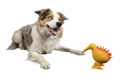KIWI WALKER Whistle Figure L