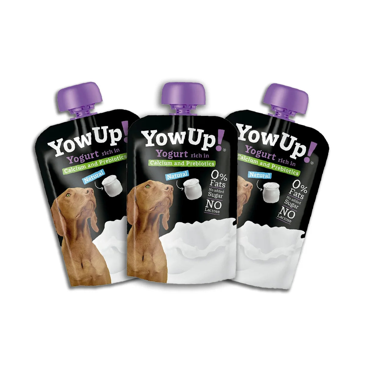 YowUp! - Iogurte natural com prebióticos para cães