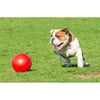 BOOMER BALL - Sortido
