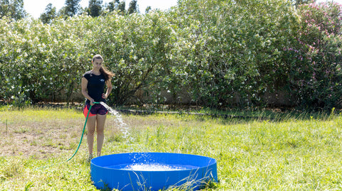 Piscina Para animais